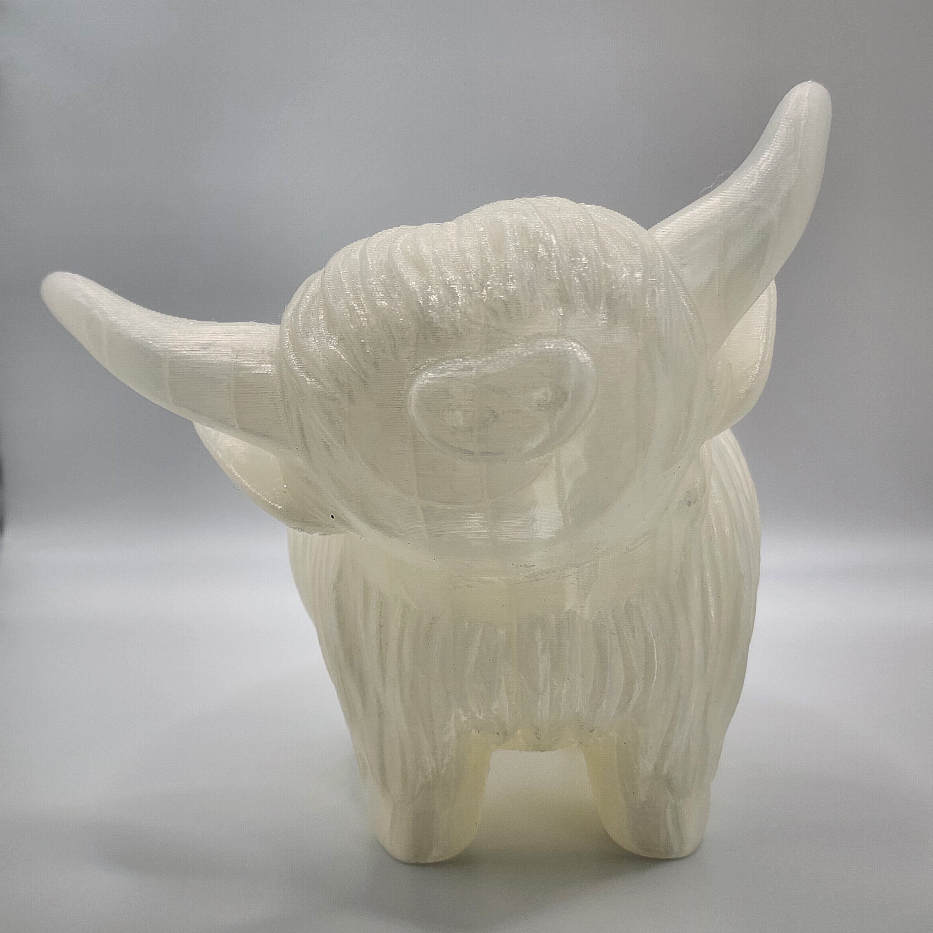 Highland Cow (large)